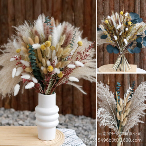 Mix And Match Pampers grass