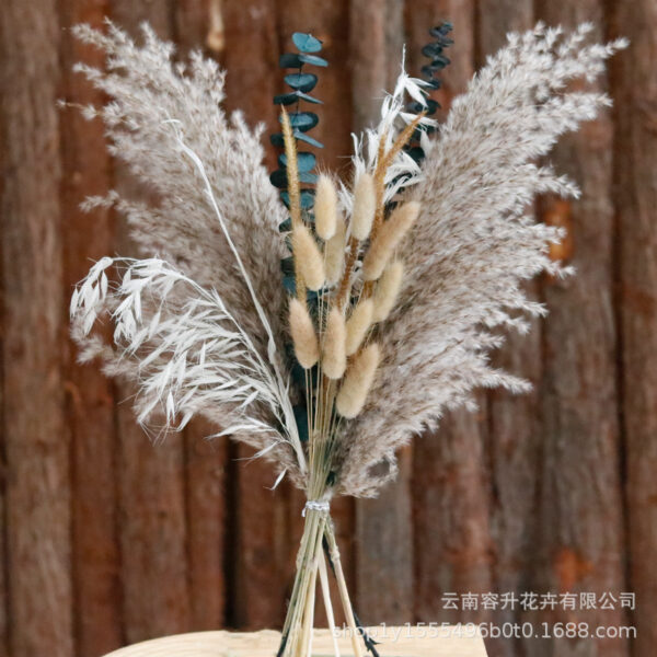 Mix And Match Pampers grass - Image 6