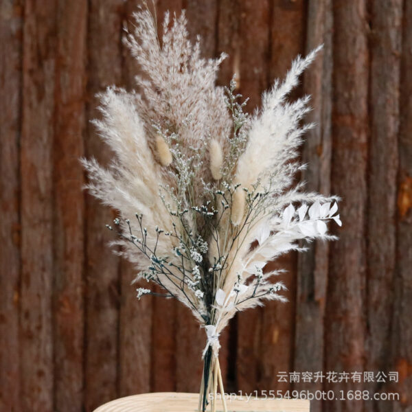 Mix And Match Pampers grass - Image 5